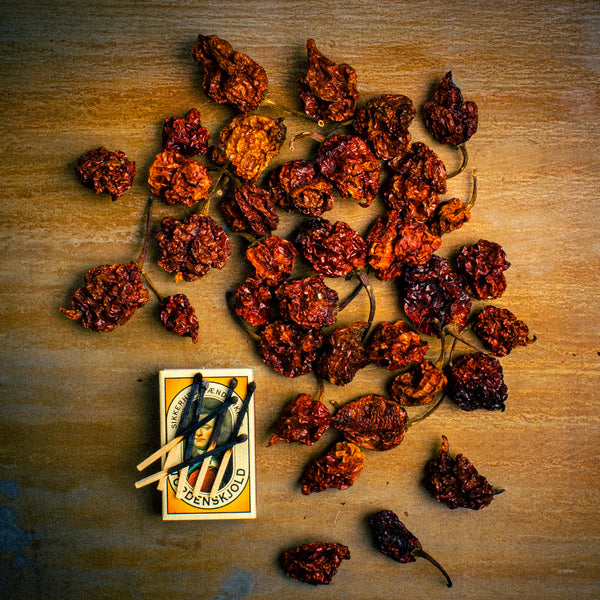 Carolina Reaper - whole dried chili